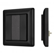 INTELLIGENT ARLIGHT Панель DALI-223-2K-D2-IN-BLACK (BUS, Free purpose) (INTELLIGENT ARLIGHT, -)  032504  Arlight