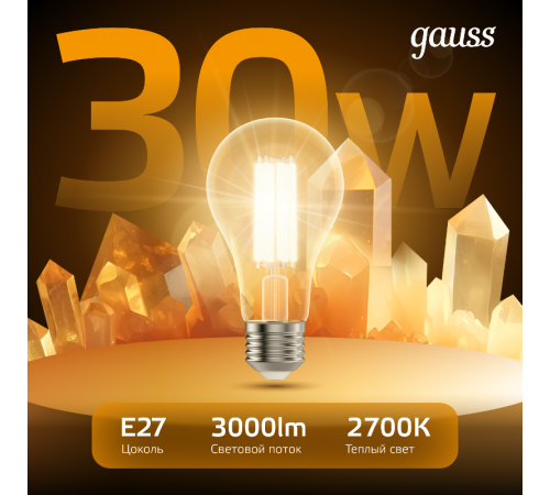 Лампа светодиодная Filament А70 30W 3000lm 2700К Е27 LED 1/10/40  102902130  Gauss