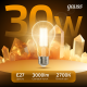 Лампа светодиодная Filament А70 30W 3000lm 2700К Е27 LED 1/10/40  102902130  Gauss
