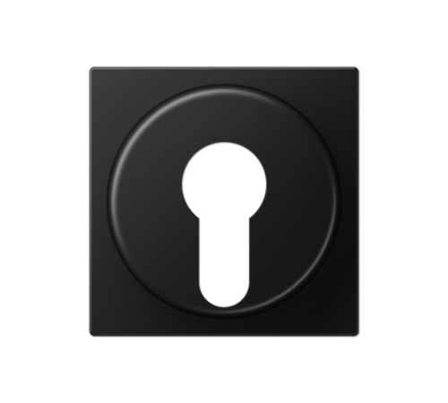 Накладка на выключатель замочного механизма; термопласт; черный матовый  A528PLSWM  Jung