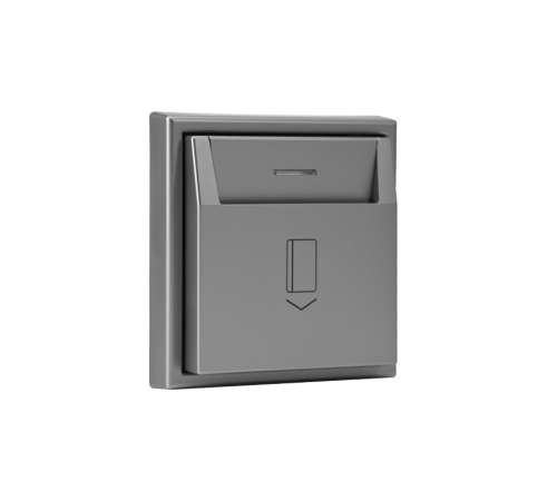 ArtGallery Сталь Выключатель 2-клавишный с подсветкой, сх.5а, 10АХ, механизм, быстрозажим. клем.  GAL000953S  SE