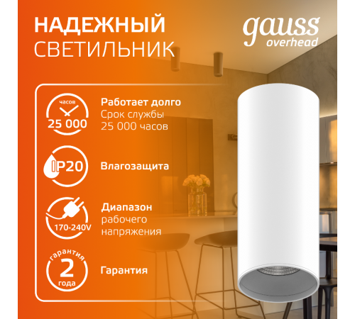 Светильник светодиодный  накладной HD031 12W (белый/белый) 3000K 79x200мм, 1/10  HD031  Gauss