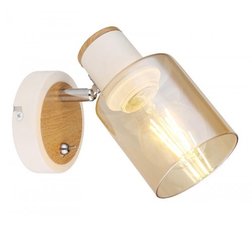 Светильник настенно-потолочный спот Jamilly 7057-701 1 х Е27 40 Вт поворотный с выключателем  Б0054660  Rivoli