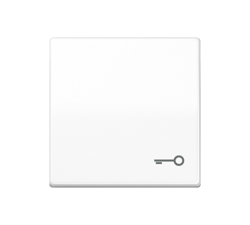 Клавиша для выключателя с символом "замок"; белая AS591TWW Jung