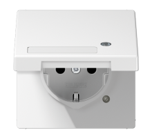 SCHUKO-розетка с крышкой   LS1520NAKLKOWW Jung