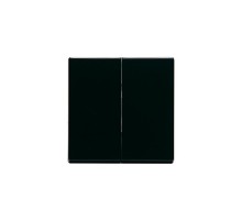 Клавиша для 2-клавишных выключателей/переключателей/кнопок, глухая, Impressivo, антрацит  1785-81   2TKA000521G1  ABB