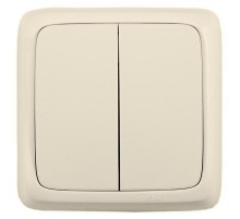 Выключатель открытой установки, двухклавишный, с монтажной пластиной, цвет слонова кость  ВА16-155-01  HEGEL