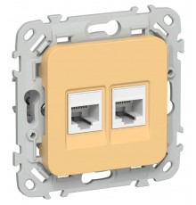 FLITE Розетка 2-ая компьютерная RJ45 кат.5Е UTP РК5е-2-0-ФлЗ золотарник  FI-K22-1-K90  IEK