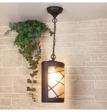 Светильник садово-парковый GL 1017H Premier H черный подвесной  a039857  Elektrostandard