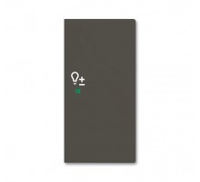 SRD-2-R-95 Клавиша двойная правая free@home, светорегулятор, Basic 55, цвет chateau-black  6220-0-0696   2CKA006220A0696  ABB