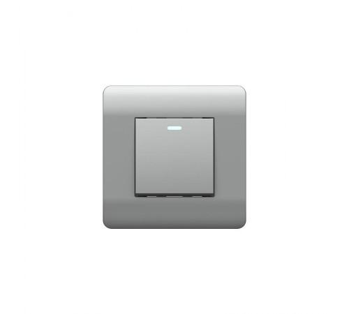 Выключатель 1-клавишный без фиксации с подсветкой, 10А, серебряный(NEW3-E)  431403  CHINT