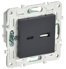 SKANDY Розетка USB A+C 3,1А SK-R14G графит  SK-U22-D31-K53  IEK