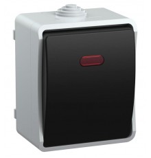 Форс Выключатель 1-клавишный со свет. индикатором О/У IP54 ВС20-1-1-ФСр EVS11-K03-10-54-DC  IEK