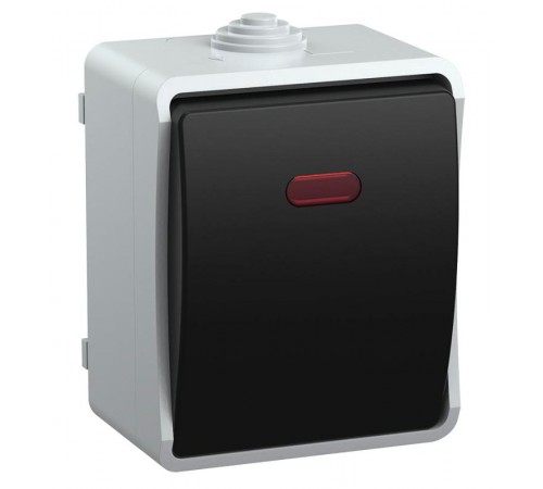 Форс Выключатель 1-клавишный со свет. индикатором О/У IP54 ВС20-1-1-ФСр EVS11-K03-10-54-DC  IEK