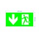 Самоклеящаяся этикетка INFO-SSA-118 пленка бэклит Человек-стрелка-вниз зеленая для SSA-103  Б0057714  ЭРА