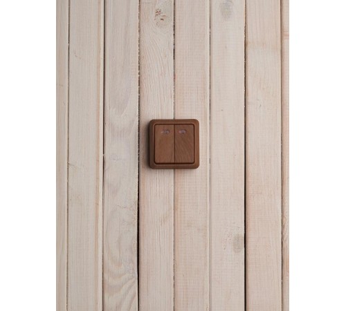 ОКТАВА дуб Выключатель 2-клавишный с индикацией 10А ВС20-2-1-ОД  EVO21-K04-10-DC  GENERICA