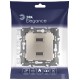 14-4110-04 Устройство зарядное USB, 230В/5В-2100мА, IP20, Эра Elegance, шампань  Б0034371  ЭРА