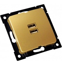 РС-USB-420-07 Розетка "Мастер" USB, С/У, механизм, цвет золото  РС-USB-420-07  HEGEL