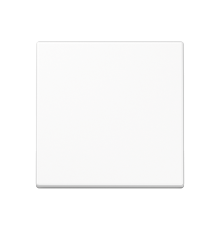 Клавиша для выключателя A590BFWW Jung