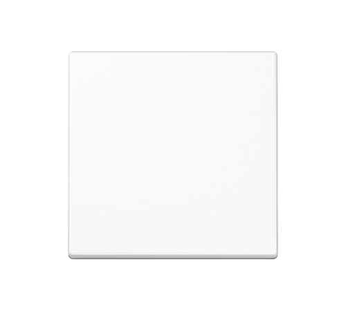 Клавиша для выключателя A590BFWW Jung