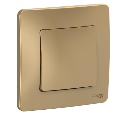 Blanca Титан С/У Выключатель 1-клавишный, 10А, 250B  BLNVS010104  SE