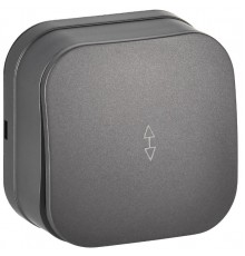 GLORY Выключатель 1-клавишный проходной о/у 10А ВСп10-1-0-ХСм сталь матовый  EVH12-K46M-10  IEK