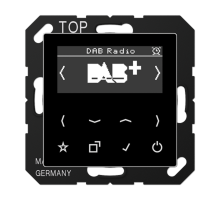 Цифровое радио DAB+  DABASW  Jung