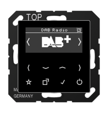 Цифровое радио DAB+  DABASW  Jung