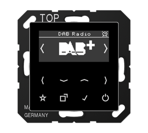 Цифровое радио DAB+  DABASW  Jung