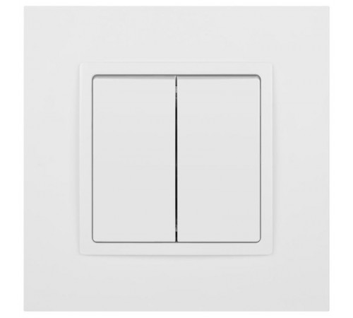 Выключатель Elegance 14-1104-01М двойной, 10АХ-250В, белый матовый  Б0065797  ЭРА