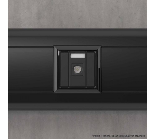 Розетка TV одиночная модульная, "Avanti", "Черный матовый", 1 модуль  4412501  DKC