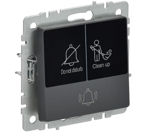 BRITE Кнопка звонка с инд. отел. 10А ВС10-1-9-БрГ граф.  BR-V14-2-10-K53  IEK