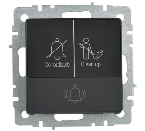 BRITE Кнопка звонка с инд. отел. 10А ВС10-1-9-БрГ граф.  BR-V14-2-10-K53  IEK