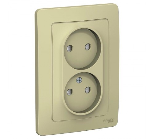Blanca Бежевый С/У Розетка 2-ая без з/к со шт., 16А, 250В  BLNRS000127  SE