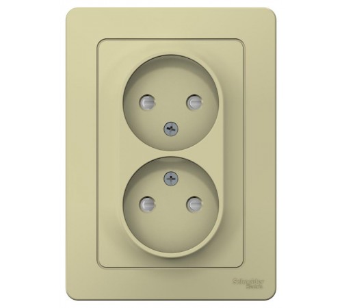 Blanca Бежевый С/У Розетка 2-ая без з/к со шт., 16А, 250В  BLNRS000127  SE