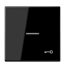 Клавиша для выключателя с символом "Ключ" LS990KO5TSW Jung