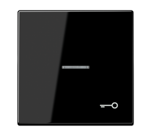 Клавиша для выключателя с символом "Ключ" LS990KO5TSW Jung