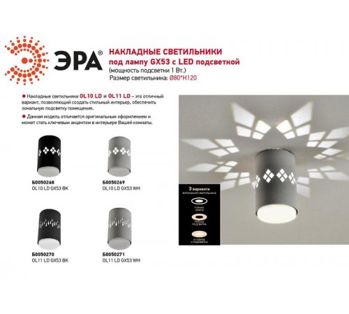 Светильник настенно-потолочный спот OL10 LD GX53 BK черный, подсветка 1 W  Б0050268  ЭРА