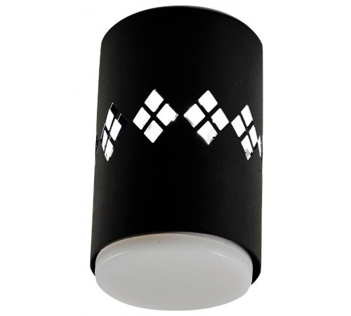 Светильник настенно-потолочный спот OL10 LD GX53 BK черный, подсветка 1 W  Б0050268  ЭРА