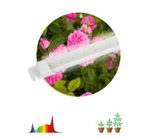 Светильник для растений, фитолампа светодиодная линейная FITO-10W-Т5-Ra90-Slim полного спектра 10 Вт Т5  Б0057400  ЭРА
