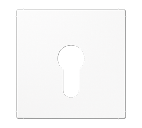 Крышка к выключателю для замочного механизма; белая  LS925WW  Jung