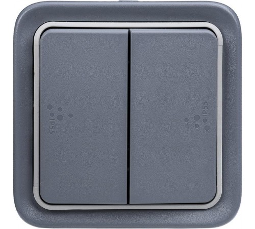 Plexo Серый Выключатель/Переключатель 2-клавишный наружный монтаж 10А (в сборе) IP55  069715  Legrand