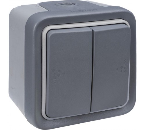 Plexo Серый Выключатель/Переключатель 2-клавишный наружный монтаж 10А (в сборе) IP55  069715  Legrand