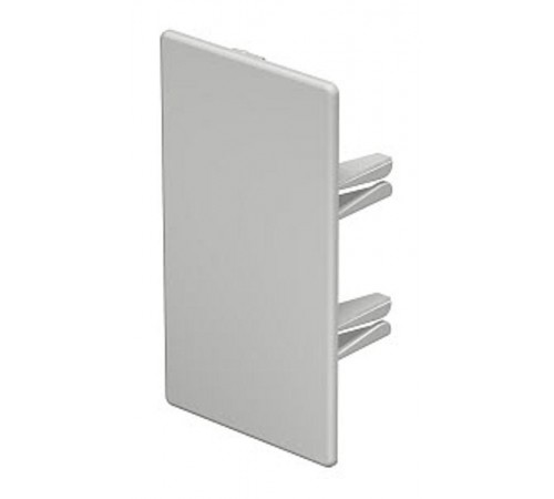 Торцевая заглушка кабельного канала WDK 60x110 мм (ПВХ,светло-серый) (WDK HE60110LGR)  6183824  OBO Bettermann