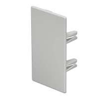 Торцевая заглушка кабельного канала WDK 60x110 мм (ПВХ,светло-серый) (WDK HE60110LGR)  6183824  OBO Bettermann