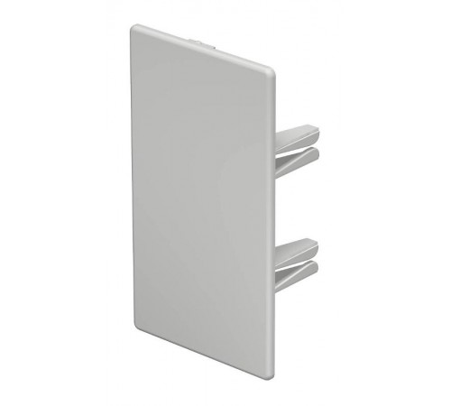 Торцевая заглушка кабельного канала WDK 60x110 мм (ПВХ,светло-серый) (WDK HE60110LGR)  6183824  OBO Bettermann