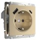 W1171710/ Электроустановочные изделия - Розетка с заземлением, шторками и USB тип A+C (шампань рифленый )  a056276  Werkel