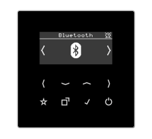 Цифровое радио DAB + с поддержкой Bluetooth DABLSBTSW Jung