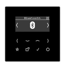 Цифровое радио DAB + с поддержкой Bluetooth DABLSBTSW Jung