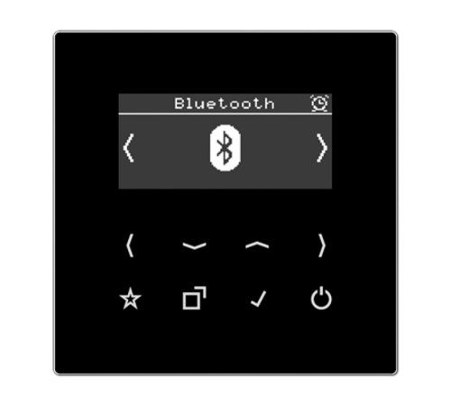 Цифровое радио DAB + с поддержкой Bluetooth DABLSBTSW Jung